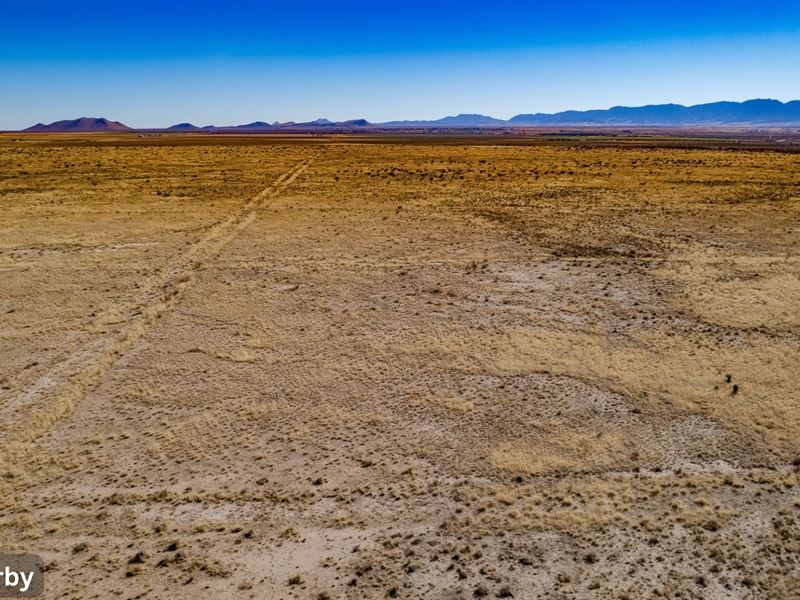 Quarter Acre Lot Near Public Land : Douglas : Cochise County : Arizona