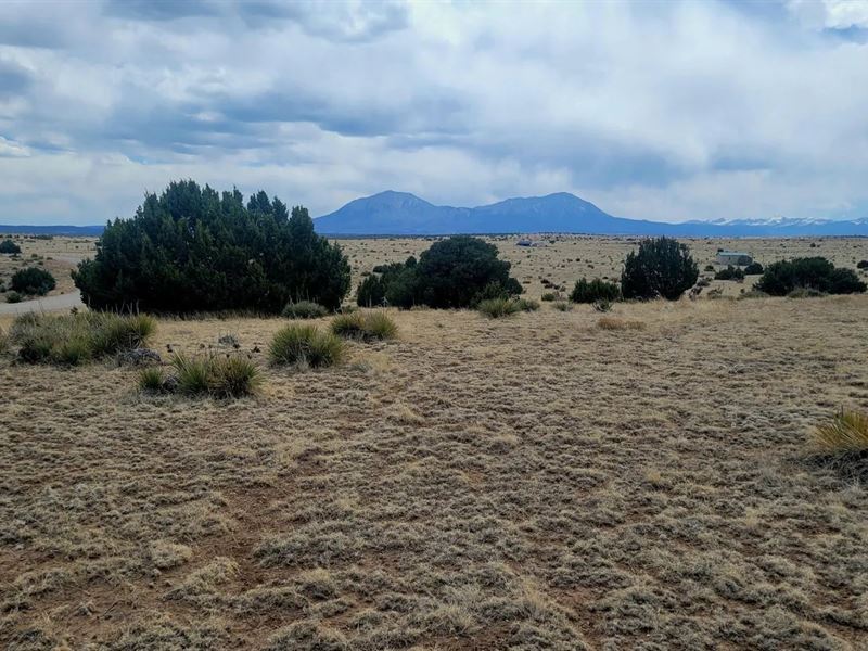 County Road 504 Lot 164 Ph 1 : Walsenburg : Huerfano County : Colorado