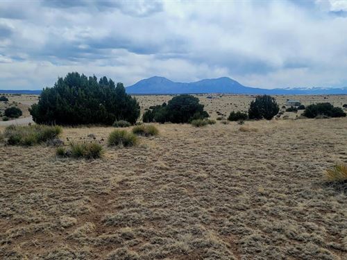 County Road 504 Lot 164 Ph 1 : Walsenburg : Huerfano County : Colorado