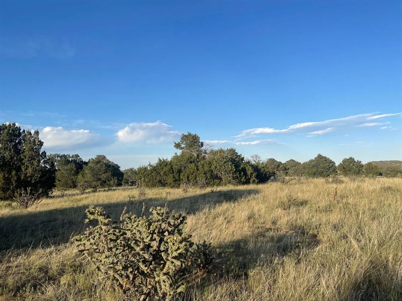 L6 B7 Rocky Mountain, Walsenburg : Walsenburg : Huerfano County : Colorado