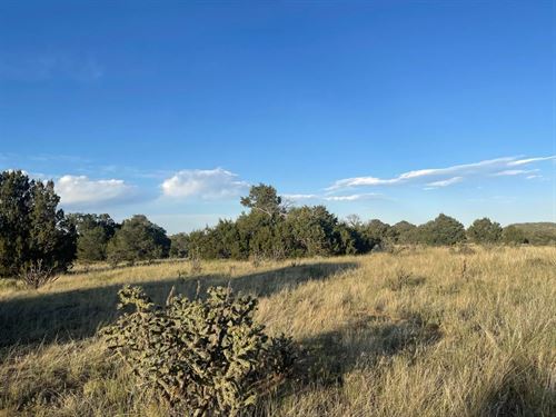 L6 B7 Rocky Mountain, Walsenburg : Walsenburg : Huerfano County : Colorado