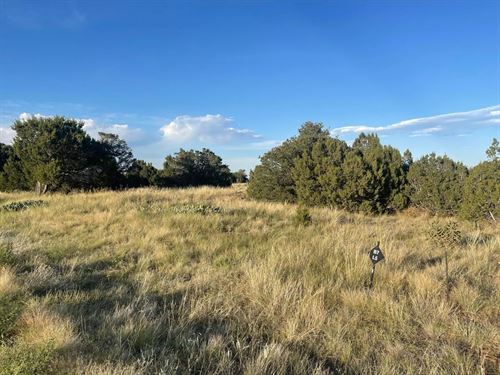 L10 B7 Orlando's, Walsenburg, CO 81 : Walsenburg : Huerfano County : Colorado