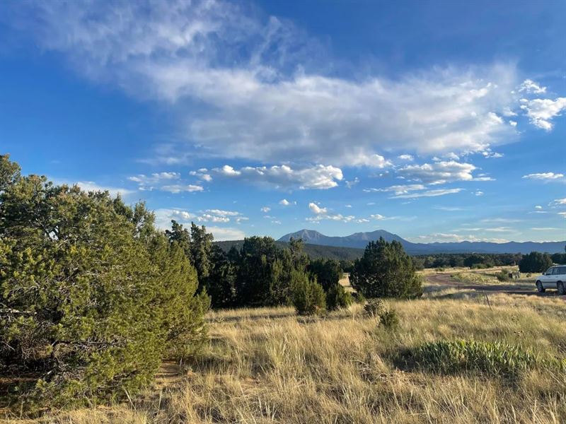 L5 B7 Rocky Mountain, Walsenburg : Walsenburg : Huerfano County : Colorado