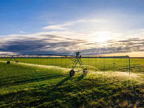Tri State Plains Ranch : Bird City : Cheyenne County : Kansas