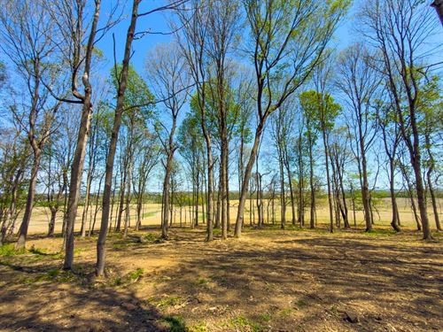 Cincinnati Zanesville Rd, 10 Acres : Amanda : Fairfield County : Ohio
