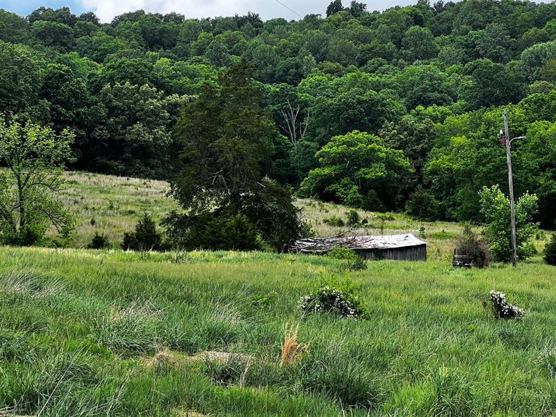 Mini Farm & Hunting Property : Horse Cave : Hart County : Kentucky
