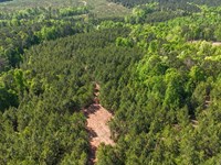 26 Acres in Tallapoosa Co, Homes : Alexander City : Tallapoosa County : Alabama