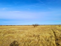 .5 Acres, New Mexico Desert : Deming : Luna County : New Mexico