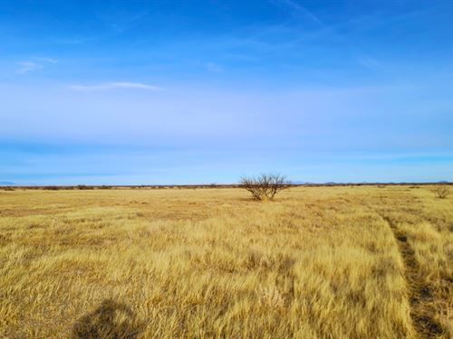 .5 Acres, New Mexico Desert : Deming : Luna County : New Mexico
