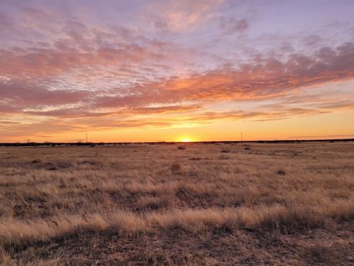 .5 Acres, New Mexico Desert : Deming : Luna County : New Mexico