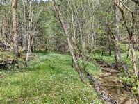 121.62 /- Acres & Home : Gainesboro : Jackson County : Tennessee