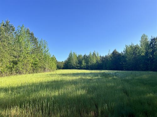 Mt. Willing Reserve : Mount Willing : Lowndes County : Alabama
