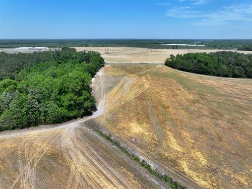 Spacious Farm in Hoke County NC : Red Springs : Hoke County : North Carolina