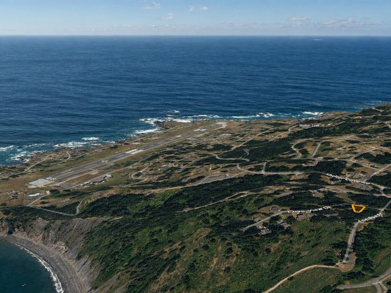 Come By Air, Land, or Sea : Shelter Cove : Humboldt County : California