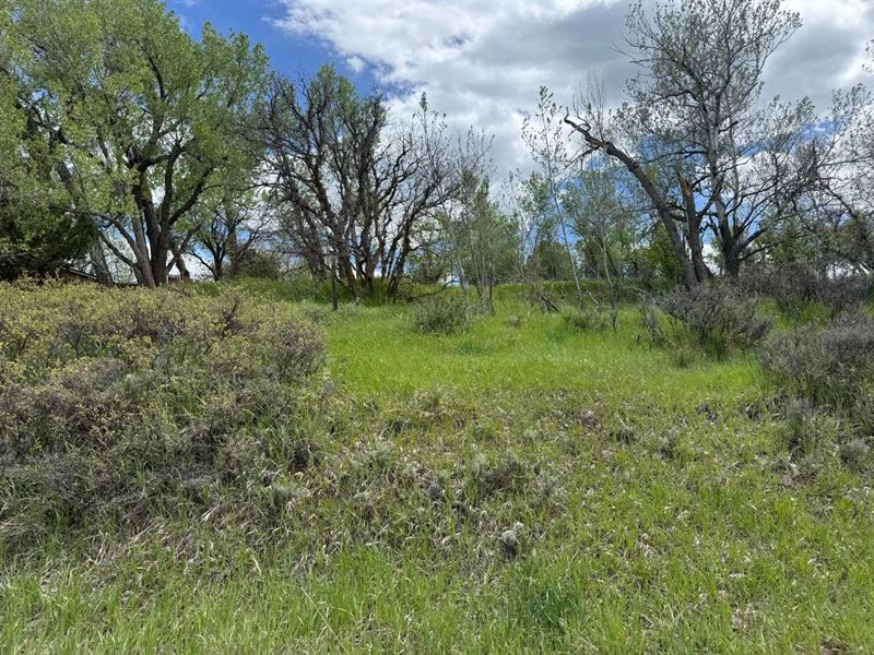 W Ryus, LA Veta, CO 81055 : La Veta : Huerfano County : Colorado