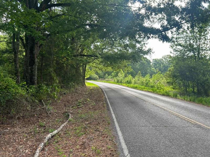 34.6 Acres in Neshoba County, MS : Philadelphia : Neshoba County : Mississippi