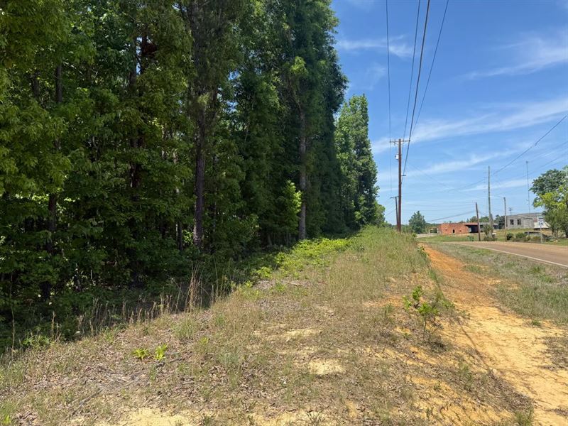 1.2 Acre Lot in Winston County, MS : Louisville : Winston County : Mississippi