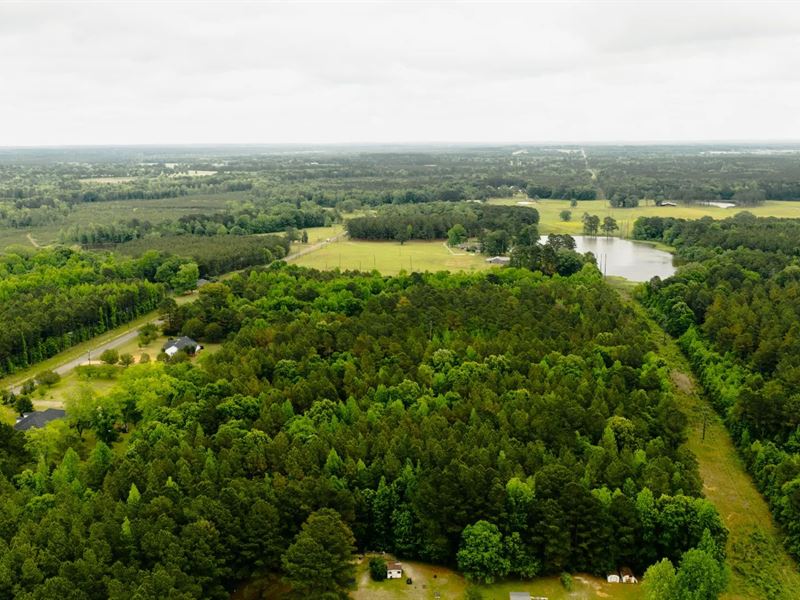 22 Acres in Winston County, MS : Louisville : Winston County : Mississippi