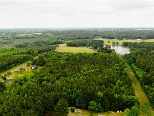 22 Acres in Winston County, MS : Louisville : Winston County : Mississippi