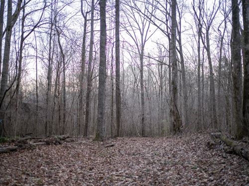 428 Acres in Jefferson County, MS : Fayette : Jefferson County : Mississippi