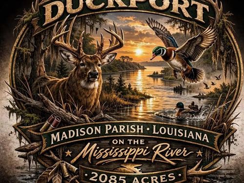 Duckport Legacy Waterfowl And White : Tallulah : Madison Parish : Louisiana