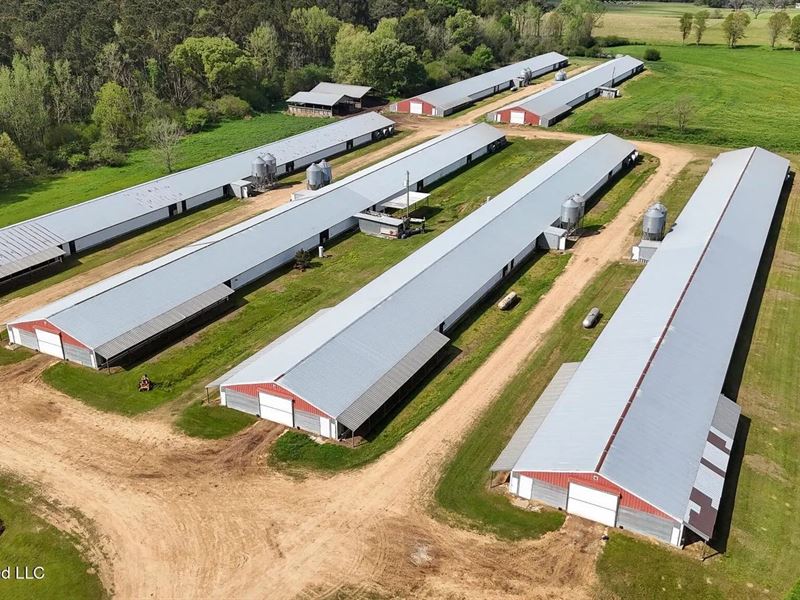 Turnkey 6 House Poultry Farm in Smi : Smithdale : Amite County : Mississippi