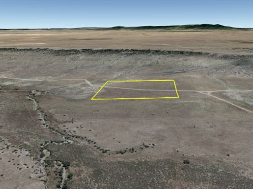 40 Acres Near Tyrone, CO : Tyrone : Las Animas County : Colorado