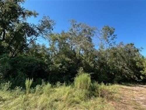Private and Peaceful : Live Oak : Suwannee County : Florida