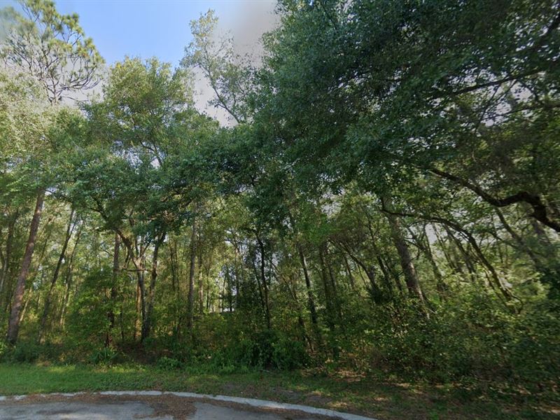$352/Mo for Your Dream Lot : Inverness : Citrus County : Florida