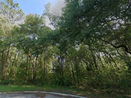 $352/Mo for Your Dream Lot : Inverness : Citrus County : Florida