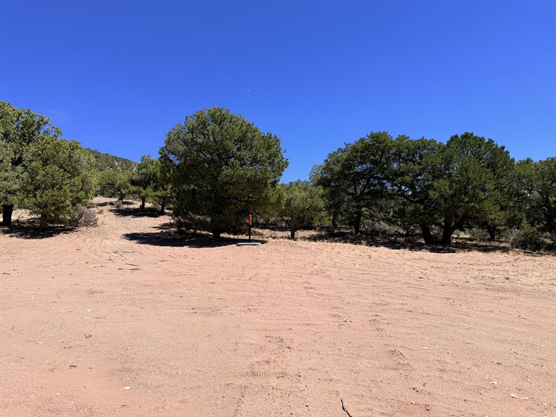 5.58 Acres in Costilla, CO $269/Mo : Fort Garland : Costilla County : Colorado