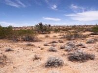 No HOA, No Neighbors, No Noise : Yucca : Mohave County : Arizona