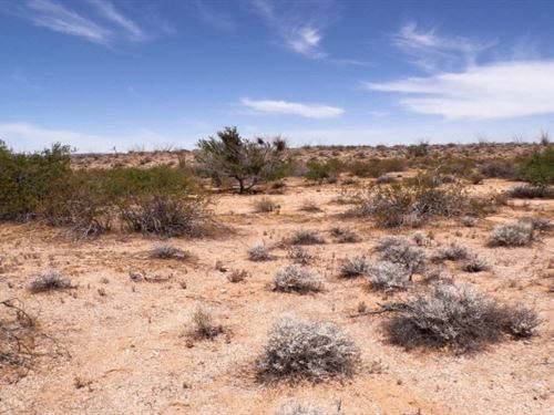 No HOA, No Neighbors, No Noise : Yucca : Mohave County : Arizona