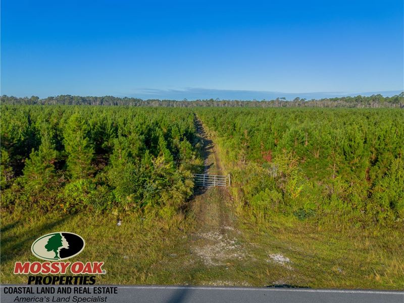 167 AC Anita Street : Waycross : Ware County : Georgia