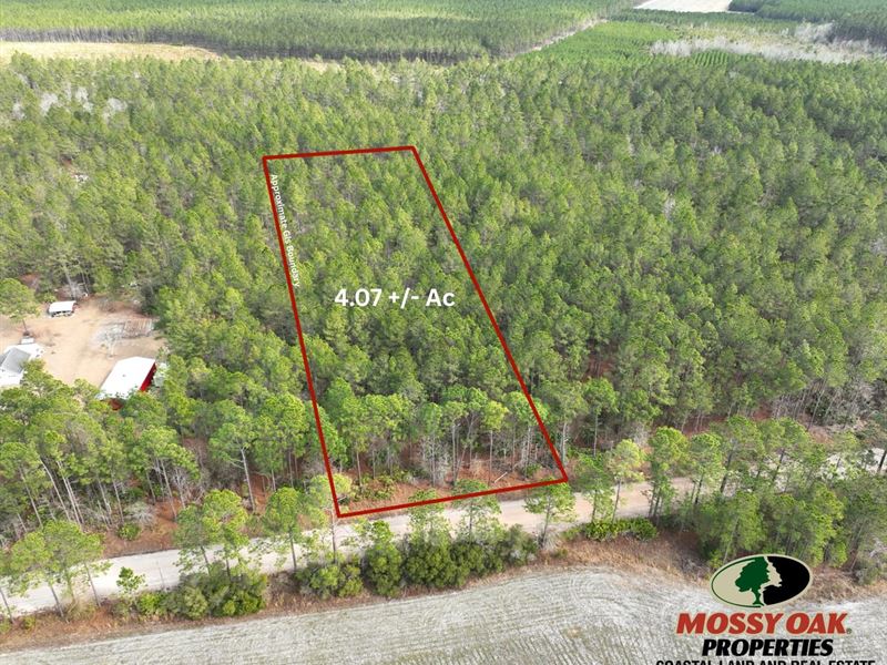 4.07 Ac Land for Sale in Applin : Odum : Appling County : Georgia