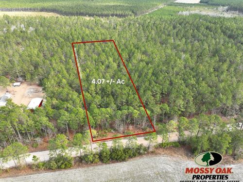 4.07 Ac Land For Sale in Applin : Odum : Appling County : Georgia