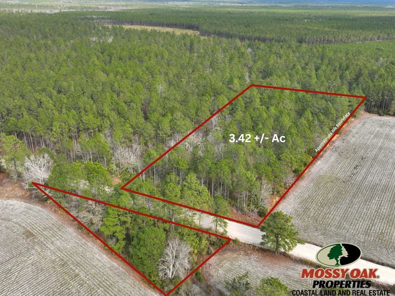 3.42 Ac Land for Sale in Applin : Odum : Appling County : Georgia