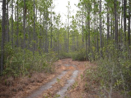 4 Ac Land For Sale in Charlton : Folkston : Charlton County : Georgia