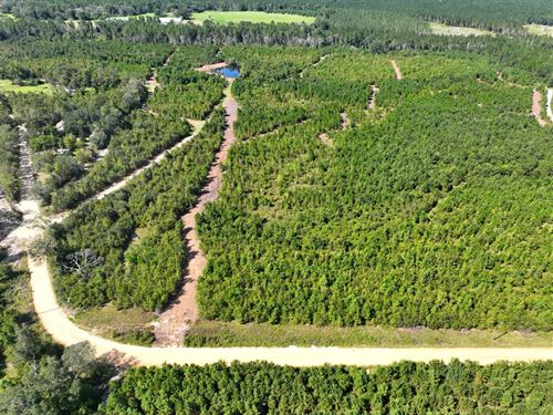 8.91 Ac Land For Sale in Toombs : Lyons : Toombs County : Georgia