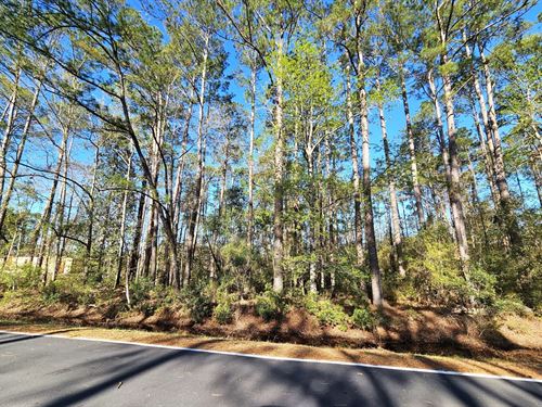 1+ Acre Lot 2 Piney Bluff Road Camd : Waverly : Camden County : Georgia