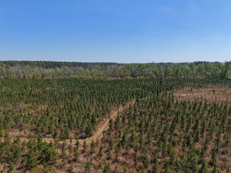 30.32 Ac Land for Sale in Camde : White Oak : Camden County : Georgia