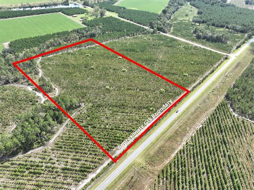 14 Acres Tract 4 Jamestown Rd : Waycross : Ware County : Georgia