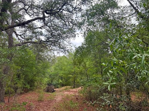 25.66 Acres in Pierce County : Blackshear : Pierce County : Georgia