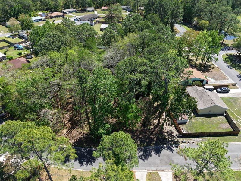 .23 Ac Tapique Circle Lot : Saint Marys : Camden County : Georgia