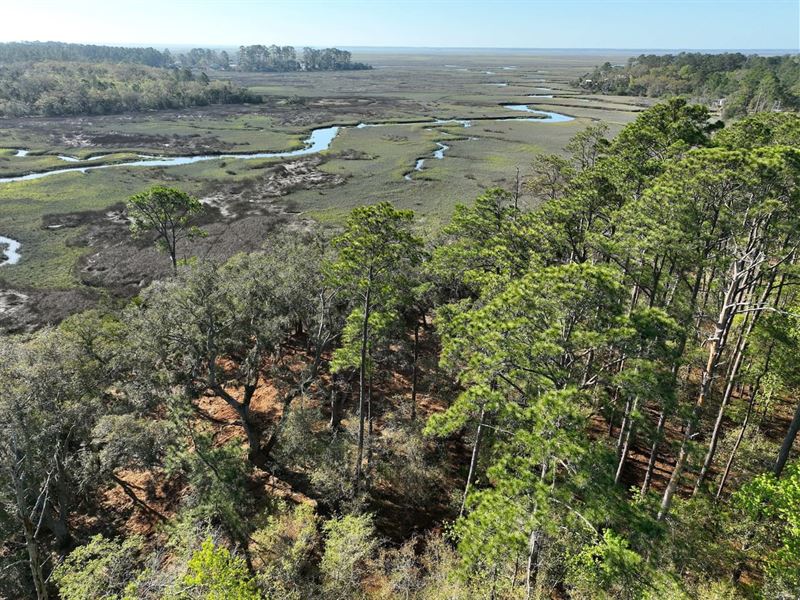 3.45 Ac Marshfront Homesite : Waverly : Camden County : Georgia