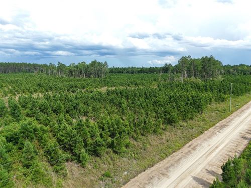 25.10 Ac Land For Sale in Camde : White Oak : Camden County : Georgia