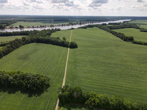 Riverfront Land, Farmland, Private : Savannah : Hardin County : Tennessee