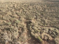 5.34 Acres Waiting for You : Mesita : Costilla County : Colorado