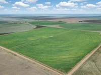 Beautiful 10 Acres in New Home : Tahoka : Lynn County : Texas