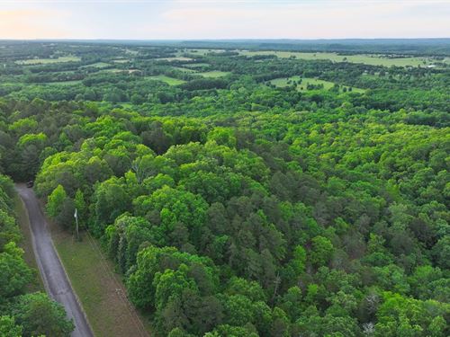 White Oak Mountain Overlook : Greenbrier : Faulkner County : Arkansas